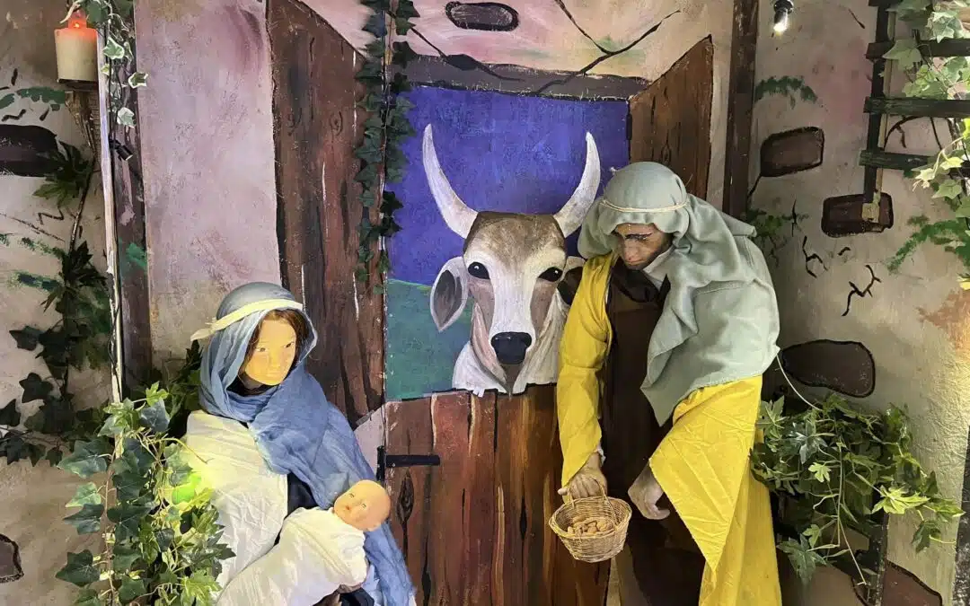 Nativity shop